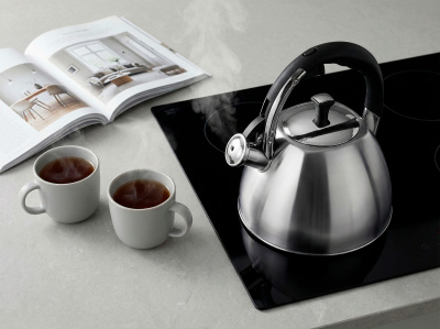 86-105 Чайник 3л со свистком Linea TEA