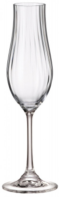 91L/1SJ95/0/00000/200-264 Фужеры для шампанского 200мл, набор 2 штуки, Crystal BOHEMIA, серия VIREO OPTIC 