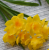 90893 Искусственный цветок 30см, AltFlowers, декор "Нарциссы", силикон, микс 90893 Искусственный цветок 30см, AltFlowers, декор "Нарциссы", силикон, микс