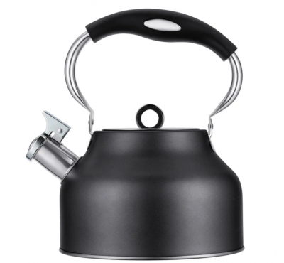 93-TEA-49 Чайник 2,5л со свистком Linea TEA